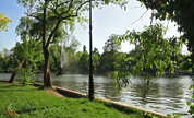 CISMIGIU Park Bucharest